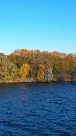 beautiful forest near the lake under clear sky. flight over the blue water on the background of bright autumn trees. natural environment in fall. vertical video