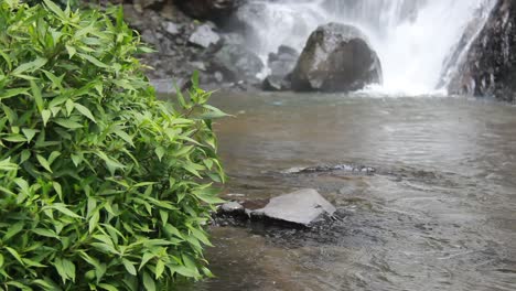 El-Agua-Del-Río-Que-Fluye-Rápidamente-A-Través-De-Las-Rocas-Y-Las-Plantas-Silvestres