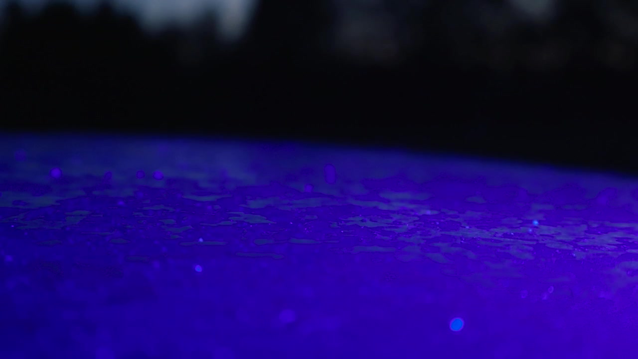 Luci di emergenza rosse e blu di una volante della polizia che lampeggiano e si riflettono sul tetto bagnato di un veicolo durante un incidente notturno, con uno sfondo scuro e sfocato che crea un'atmosfera drammatica