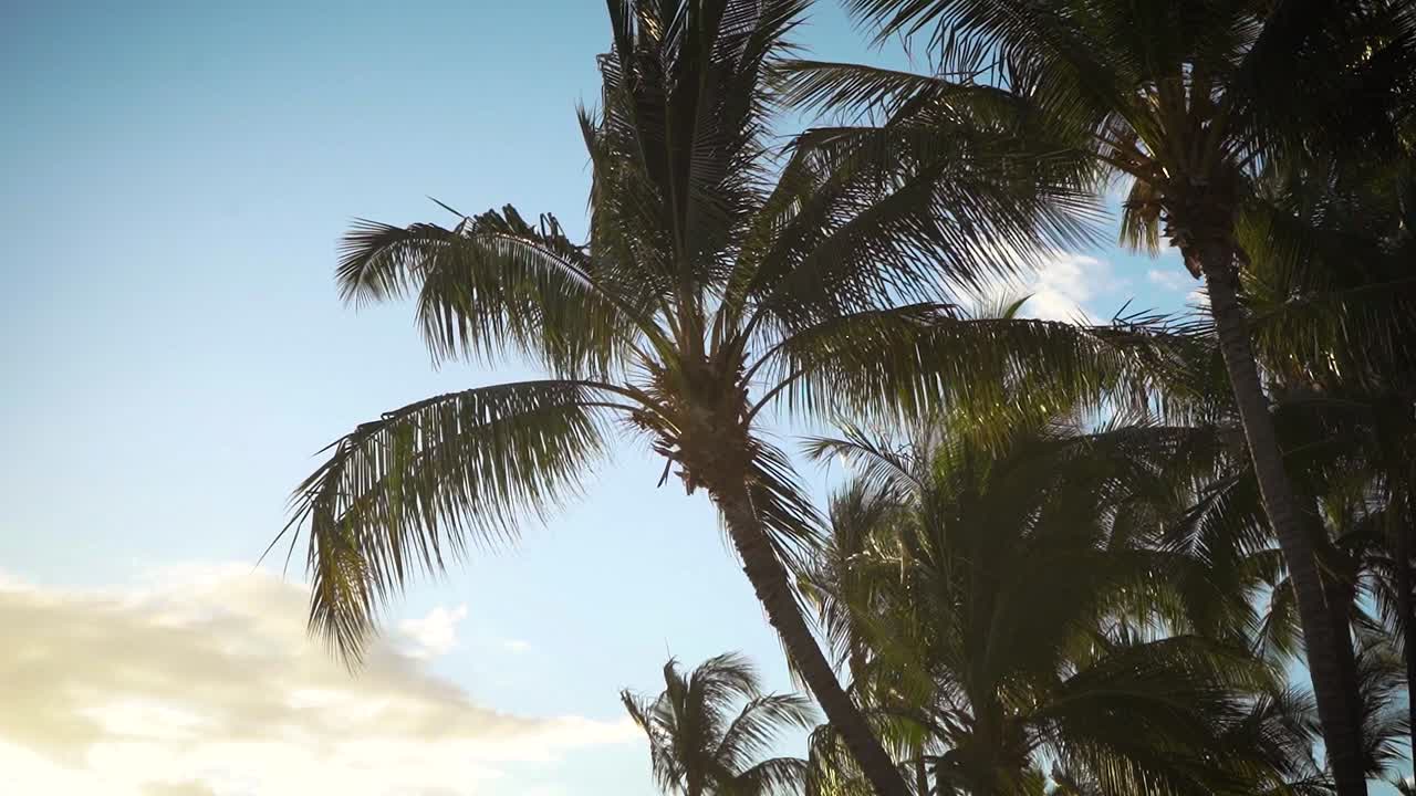 Maui has many beaches and natural areas all over the small Hawaiian island and sits in between the Big Island and Oahu. It features beautiful sunsets and swimmable retreats that scatter the island.