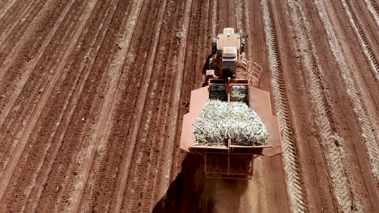 tractor automatizado plantando caña de azúcar en brasil