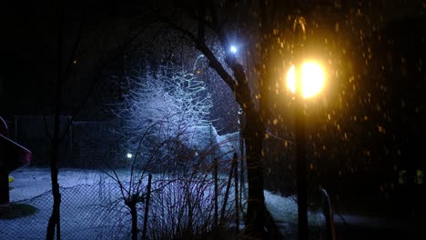 slow falling snow at night