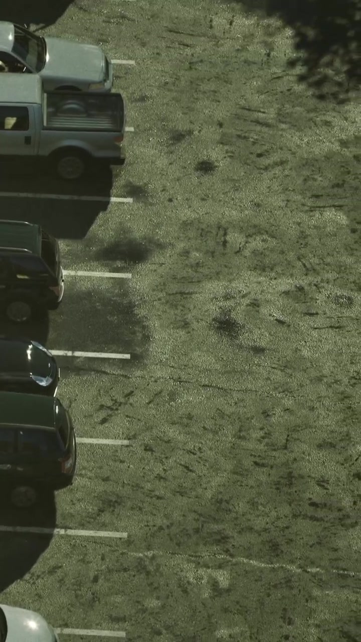 Cars parked under the warm afternoon sunlight in a calm open lot