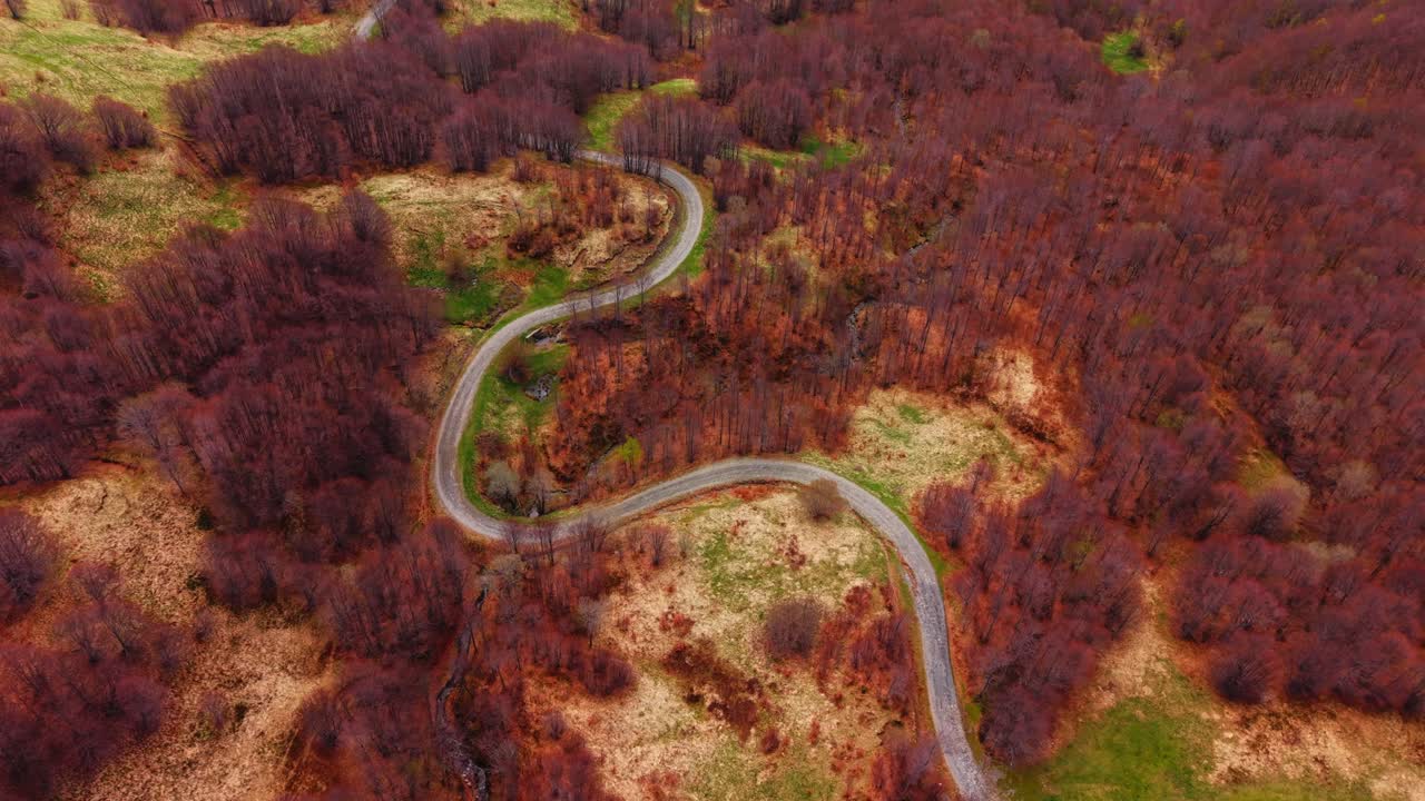 Curvy road winding through fall-colored forest in the Dolomites, aerial view