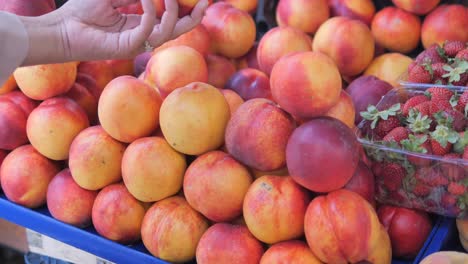 woman selecting peaches and strawberries at a farmer's market