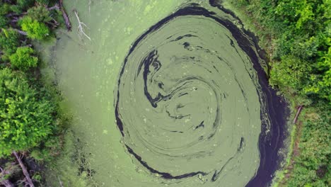 360 degree fly up over murky bog water creek paisley