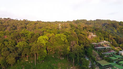 Aerial-drone-shot-flying-over-green-tropical-trees-in-Phi-Phi-Island,-Thailand