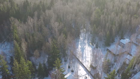 Winter-scene-of-countryside-houses-near-the-forest-aerial