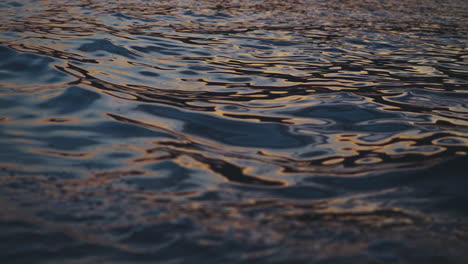 rippled water at sunset