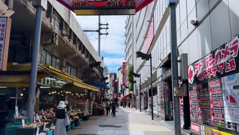 ameya yokocho market in tokyo, japan
