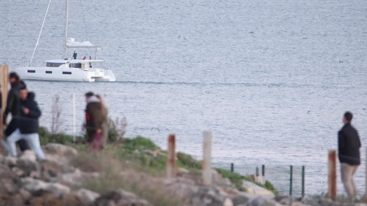 석양을 배경으로 한 실루엣의 느린 동작, 흐릿한 관광객들이 앞을 걸어갈 때 돌고래들이 장난스럽게 요트 뒤로 뛰어든다