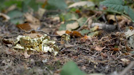 A-slider-shot-of-leaves-and-foliage-on-a-forest-floor