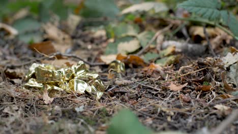 una toma deslizante de hojas y follaje en el suelo de un bosque