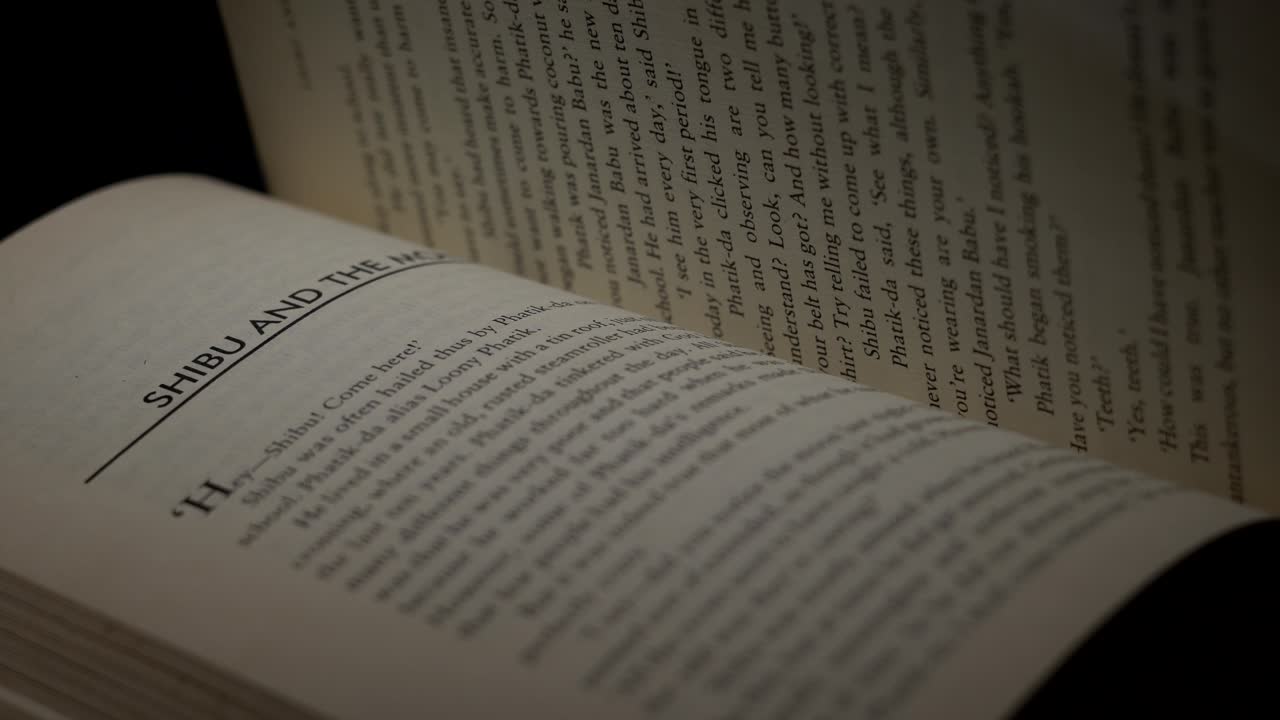 stayjit ray el libro está girando y pasando la página automáticamente