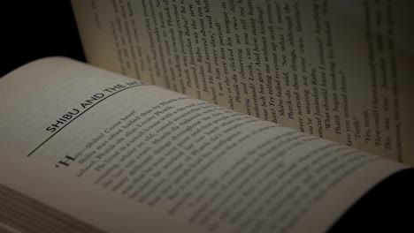 stayjit ray el libro está girando y pasando la página automáticamente