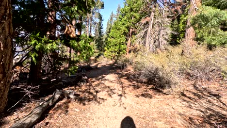 el sendero de senderismo del lago tahoe norte a la playa de la chimenea
