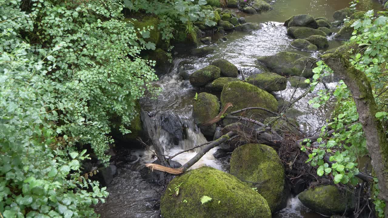 el agua fluye hacia abajo sobre las rocas en un río estrecho con follaje a cada lado
