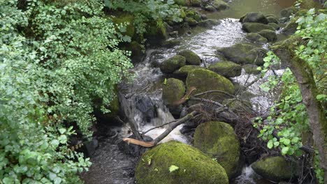 water flows down over rocks in a narrow river with foliage either side