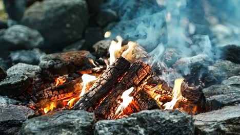 a close up of a fire burning in the woods