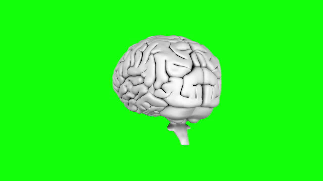 Brain spinning on green screen background