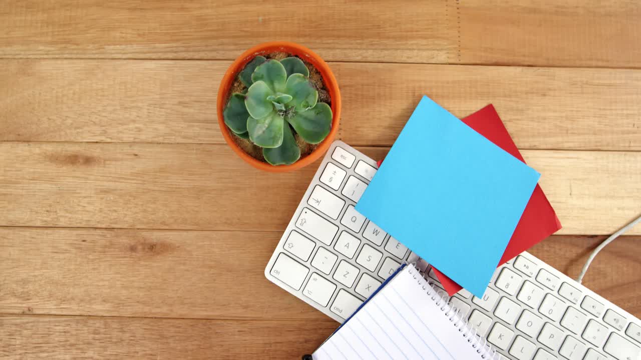 Pot plant with sticky notes and keyboard