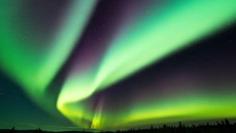 explore the mesmerizing display of northern lights illuminating the dark sky in a remote location. the vibrant hues of green and purple ripple across the horizon, creating a stunning natural spectacle. this enchanting phenomenon unfolds under a blanket of stars, offering a peaceful glimpse of nature