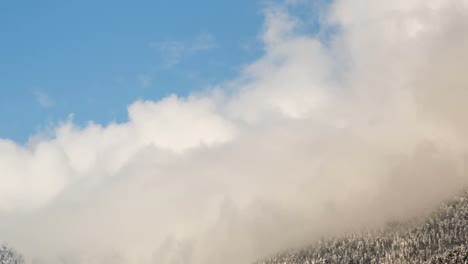 pirineos 09