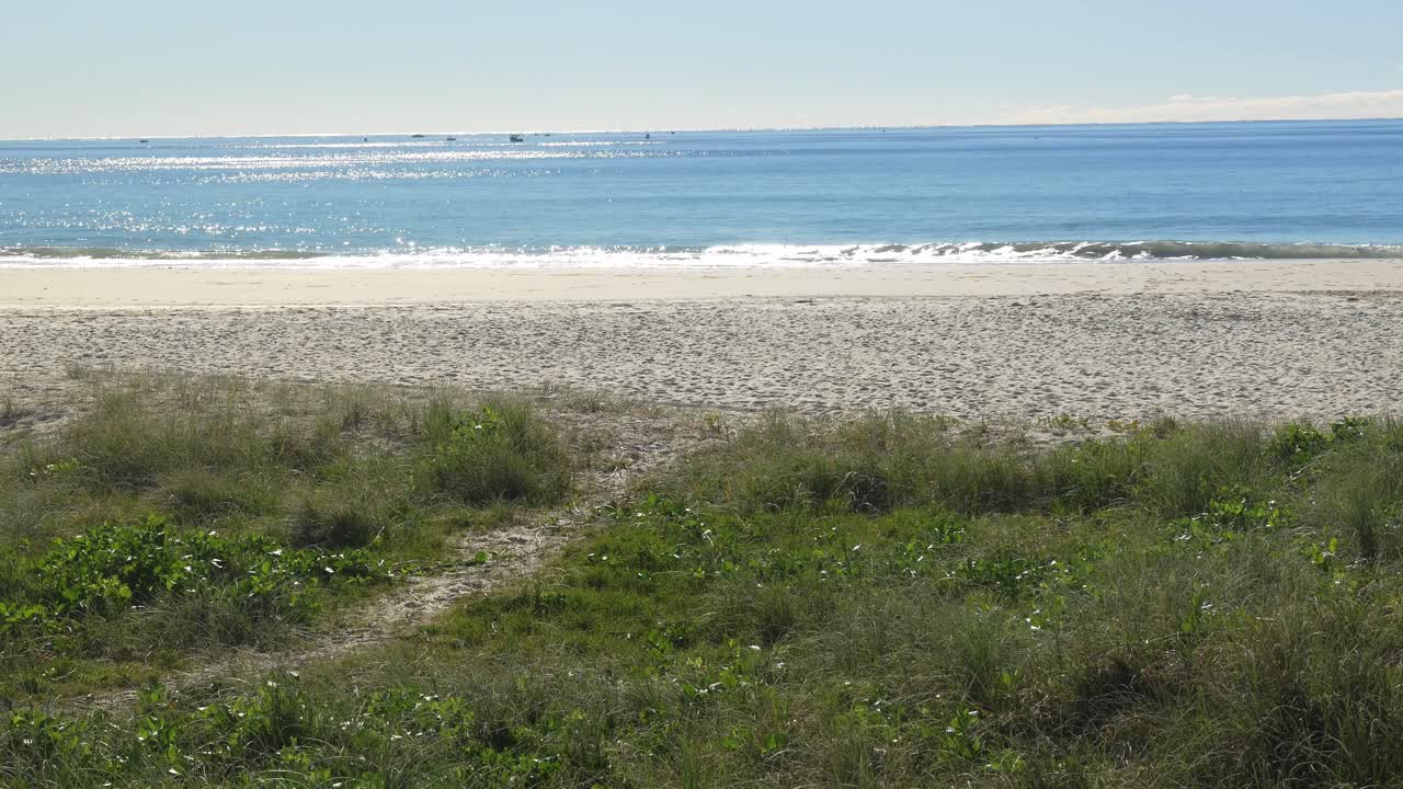 팜 비치 - 골드 코스트, 호주 - 파도 - 넓은