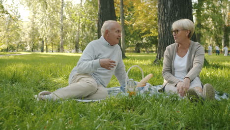 senior couple enjoying a picnic in the park