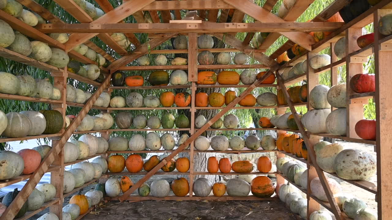 Wooden house made of pumpkins at a farm