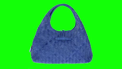 colage de bolsos de mujeres en pantalla verde.