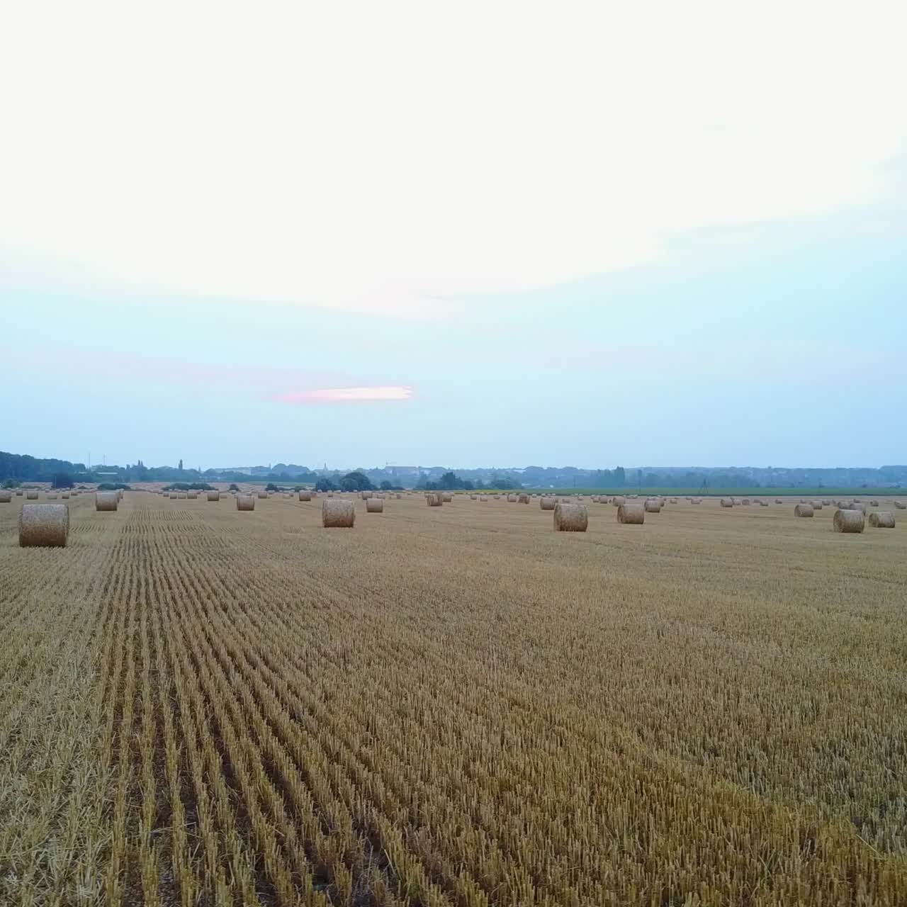 balas de heno en un campo al atardecer