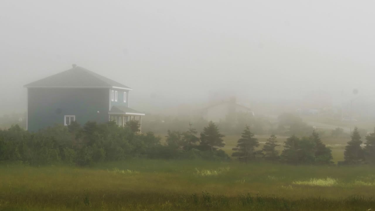 안개는 배경에 단순한 푸른 농가가 있는 키 큰 풀밭을 가로질러 분다