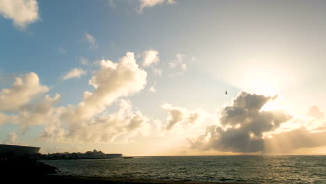 helicopter takes tourists on scenic flight over cape peninsula at sunset