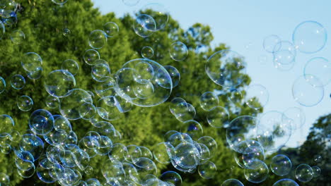 soap bubbles flying in air on trees background