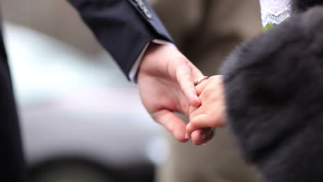 Wedding-couple-holding-hands