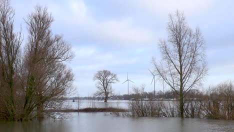 Winterkarge-Bäume,-Die-Aus-Dem-Hochwasser-Der-Ijssel-Ragen,-Die-Die-überschwemmungsgebiete-Mit-Nachhaltiger-Stromversorgung-überschwemmten-Windmühlen-Im-Hintergrund-Vor-Einem-Wolkigen-Blauen-Himmel