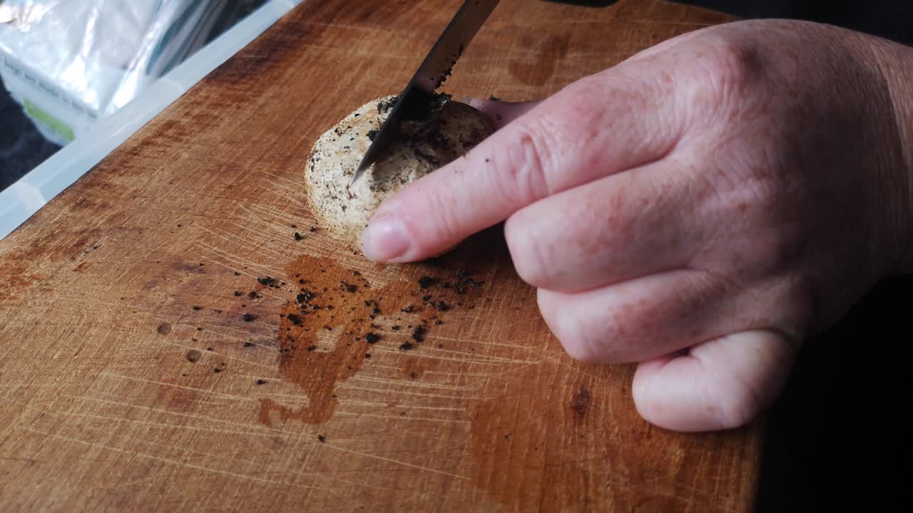 Mani femminili con un coltello che affettano mezzo fungo velenoso su un tagliere da cucina in legno