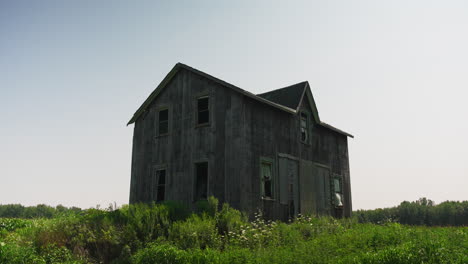 abandoned wooden house in grassy field of flowers, space for text, establishing