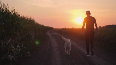 man and dog walking at sunset