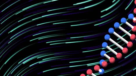 animation of dna strand and green and blue trails on black background