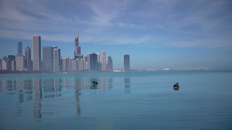 Vista panoramica dello skyline di Chicago in una giornata di sole.