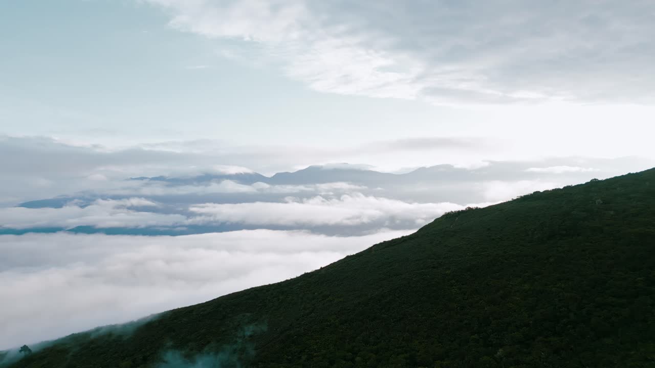 Soar above the clouds in this stunning drone footage, as majestic mountain peaks rise in the background, accentuating the captivating Yungas cloud forest below