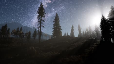 Milky-Way-stars-with-moonlight-above-pine-trees-forest