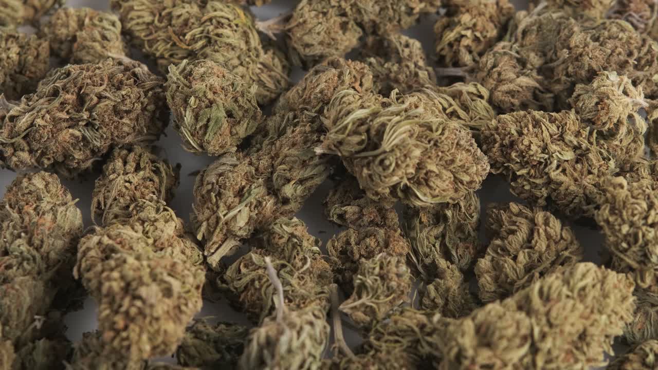 Close up shot of marijuana buds rotating.