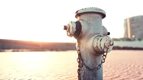 rusty fire hydrant on a beach at sunset