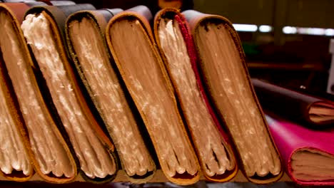 panning over books at a market