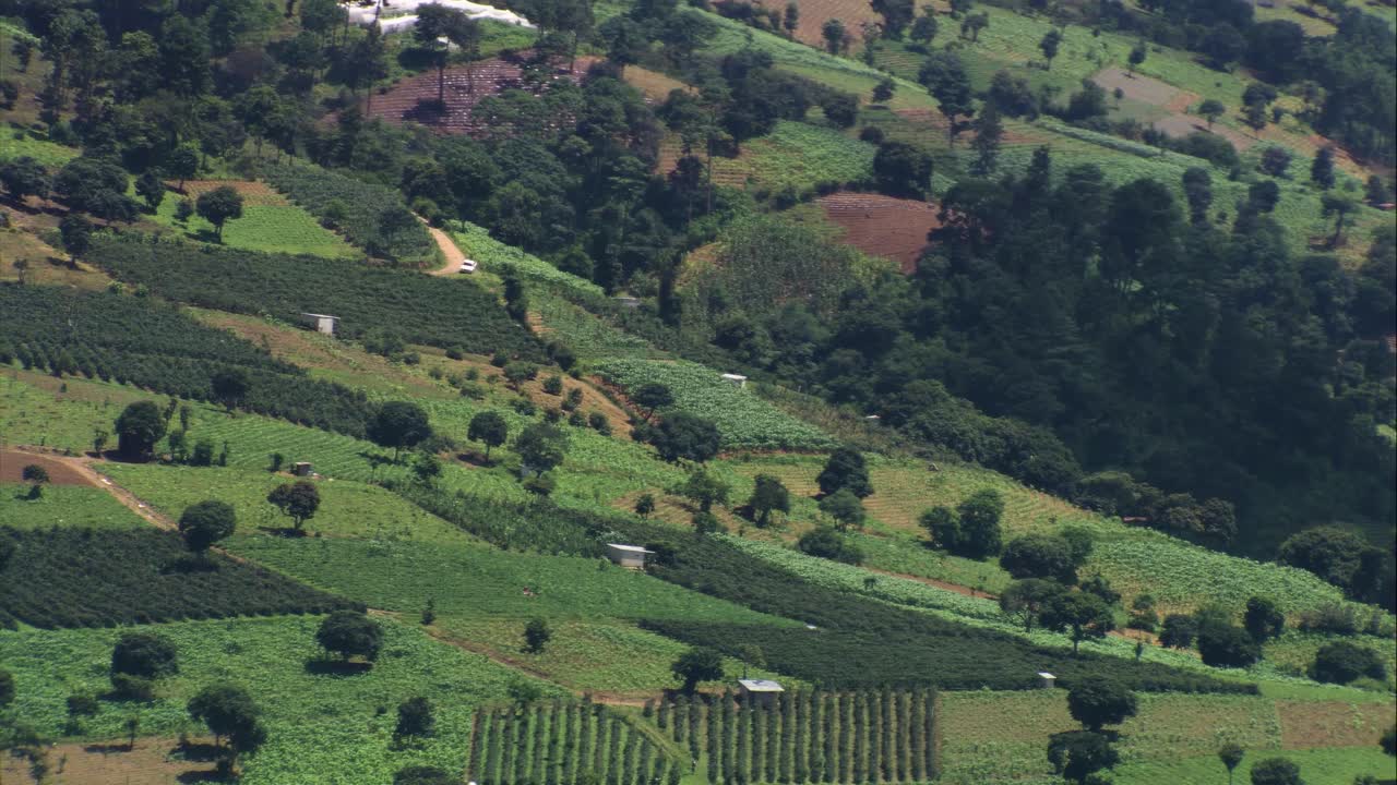 Aerial View of Verdant Guatemalan Farmland