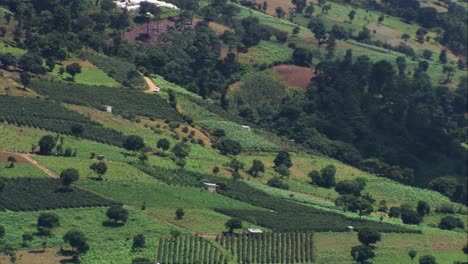 Vista-Aérea-De-Las-Verdes-Tierras-De-Cultivo-Guatemaltecas