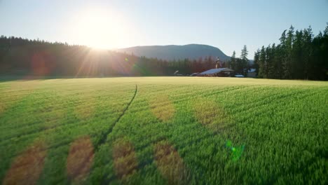 green field at countryside 4k